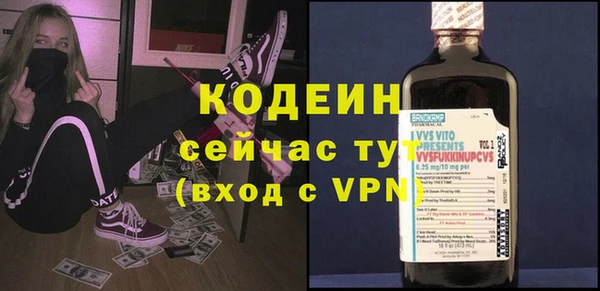 индика Коряжма