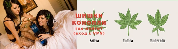 индика Коряжма