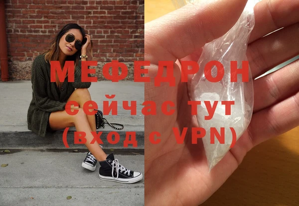 индика Коряжма