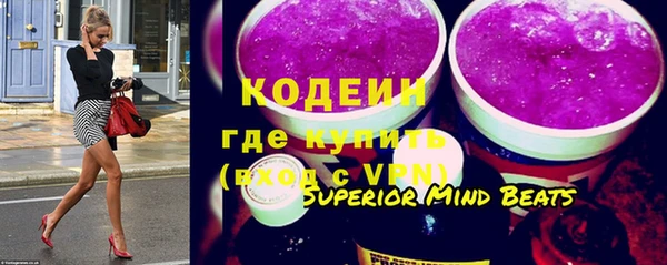 индика Коряжма
