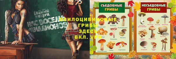 МДПВ Корсаков