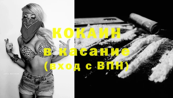 индика Коряжма