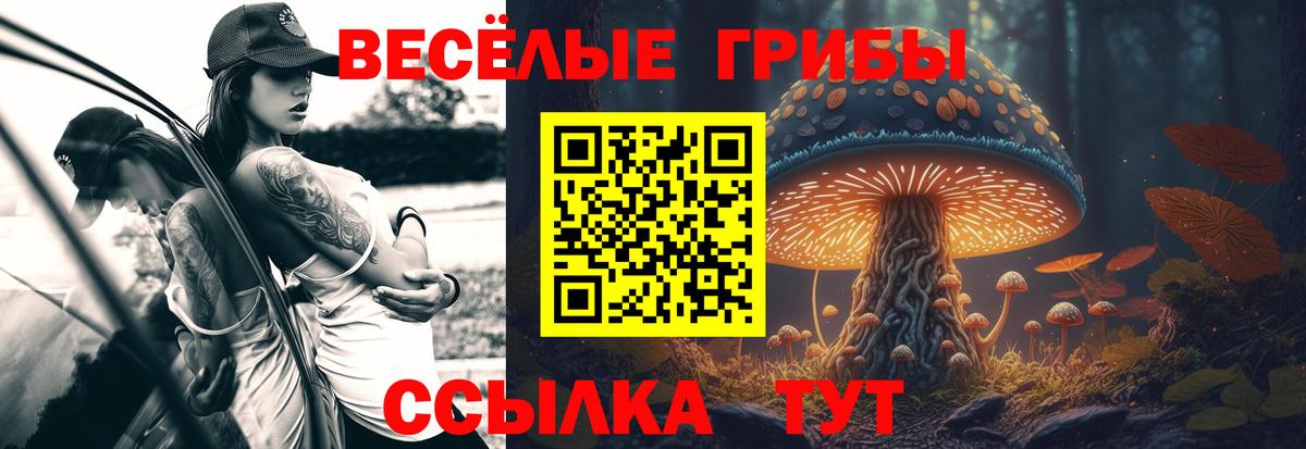 Псилоцибиновые грибы мицелий  Галлюциногенные грибы GOLDEN TEACHER  Вход с VPN  где купить наркоту  Малгобек 