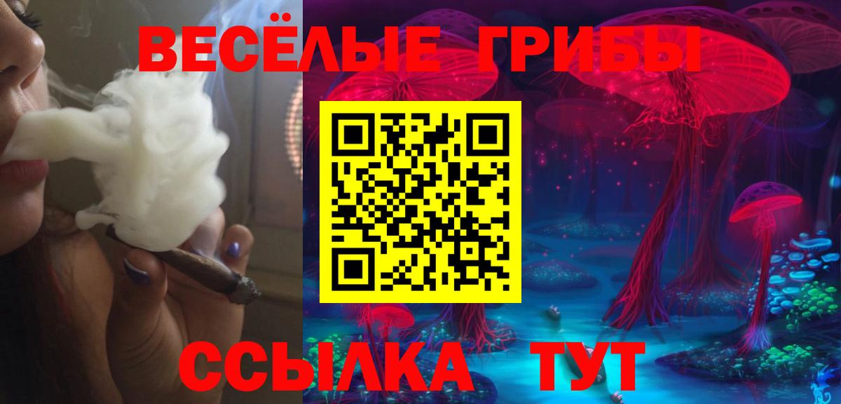 Галлюциногенные грибы мухоморы Малгобек